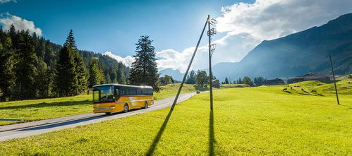 青青草国产线观,青青草的青春旋律与时代印记